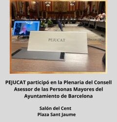 Participación en la Plenaria del Consell Asesor de las personas mayores