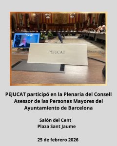 Participación en la Plenaria del Consell Asesor de las personas mayores