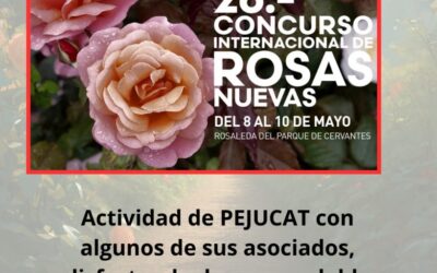 Paseo por el Parque Cervantes disfrutando de las Rosas