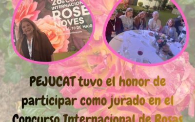 Pejucat de Jurado en el 26º Concurso internacional de Rosas Nuevas